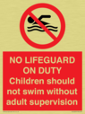 no-lifeguard-on-dutychildren-should-not-swim-without-adult-supervision~